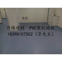 射洪幼兒園地膠PVC塑膠地板